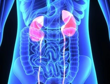 Πέτρες στα νεφρά – Διατροφή: Αυτές οι τροφές σας προστατεύουν – Τι να προσέχετε όμως